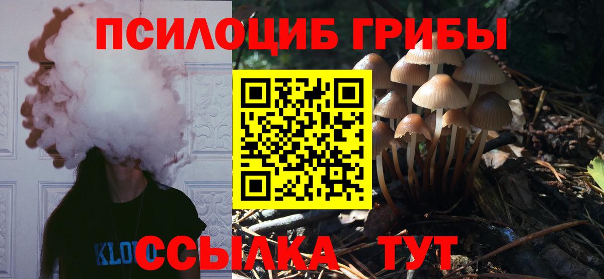 Псилоцибиновые грибы Cubensis  Галлюциногенные грибы Psilocybe  Воскресенск  Вход с VPN 